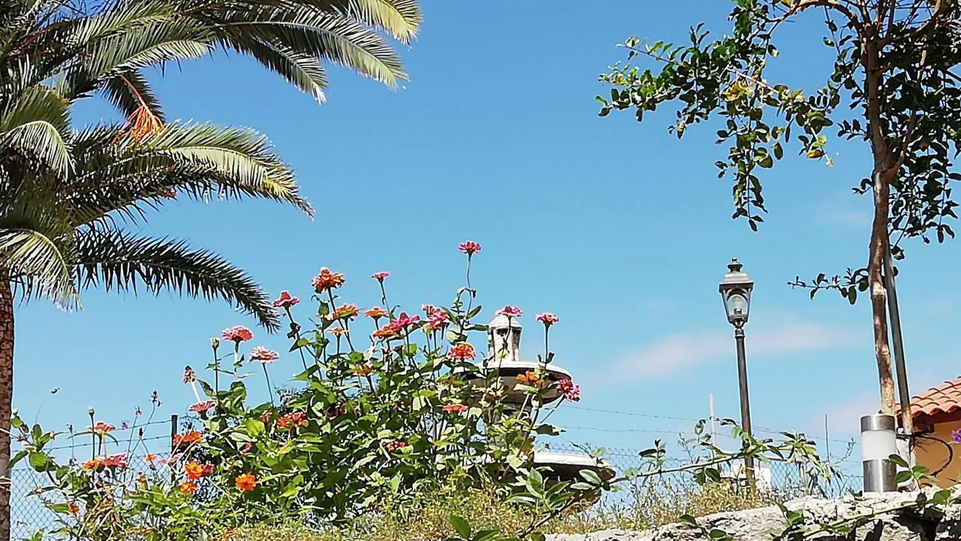 Finca Las Tapias, Glorieta 拉克鲁斯 0*,  西班牙