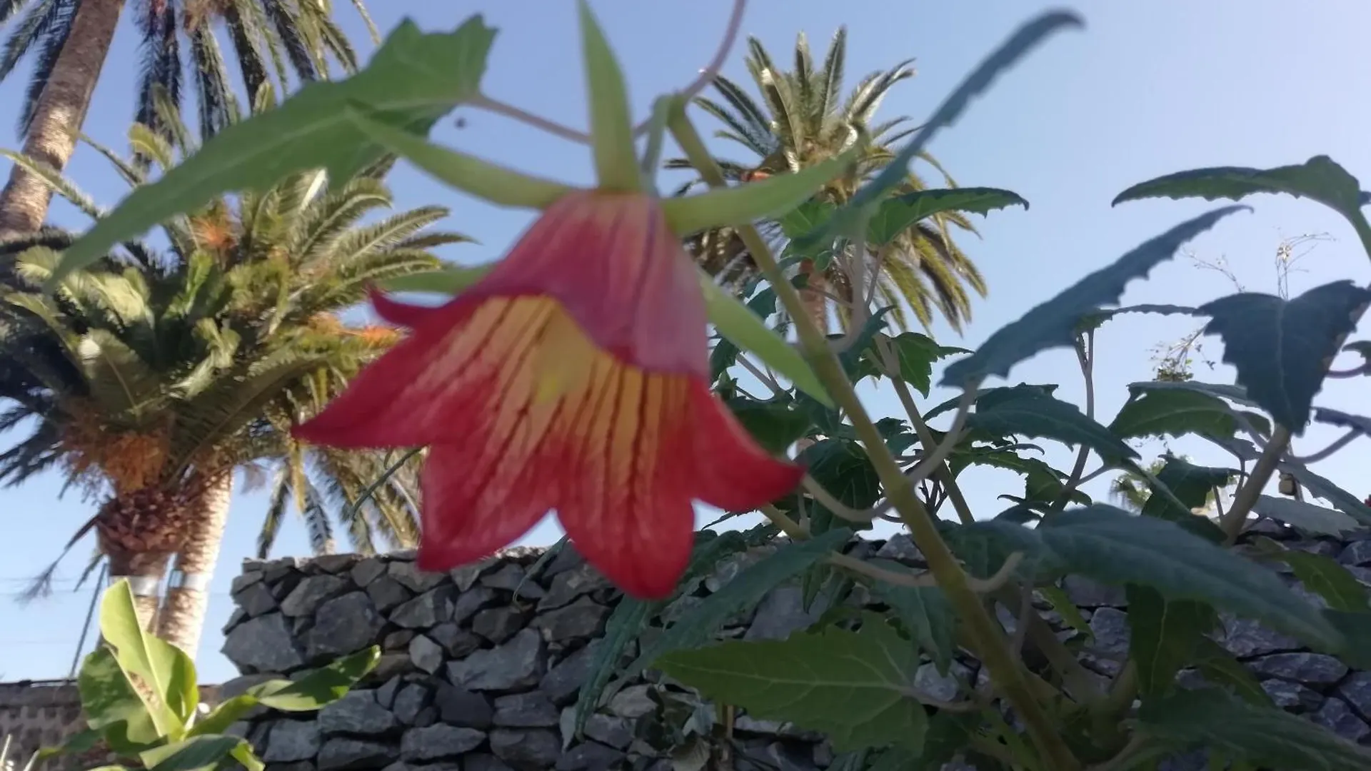 Finca Las Tapias, Glorieta 拉克鲁斯