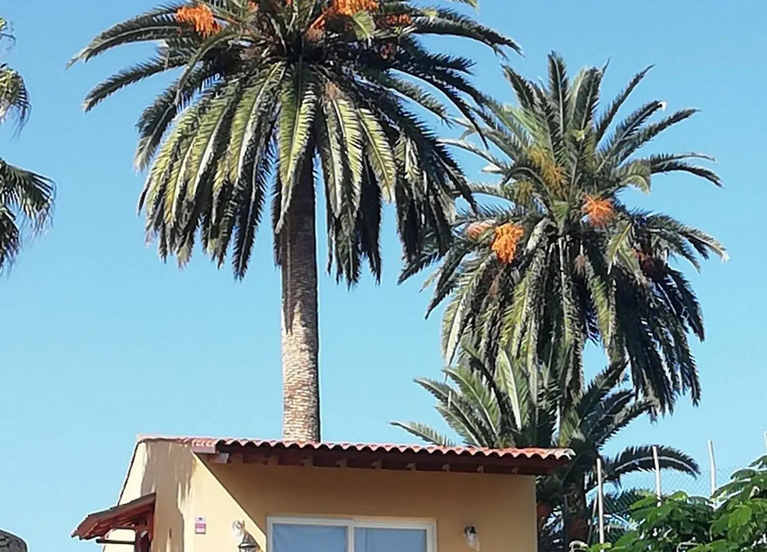 Holiday home Finca Las Tapias, Glorieta Puerto de la Cruz