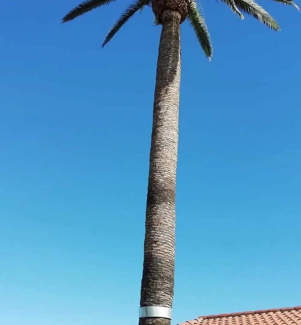 Finca Las Tapias, Glorieta Puerto de la Cruz  Holiday home