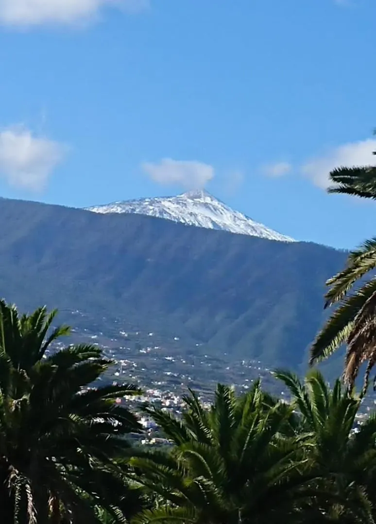 Finca Las Tapias, Glorieta Puerto de la Cruz  Holiday home Puerto de la Cruz (Tenerife)